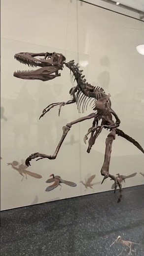 Jurassic Park's REAL Velociraptor