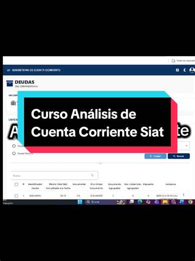 Capacitación en Análisis de Cuenta Corriente SIAT