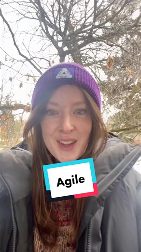 Agile Software Development: The Importance of Joking Around