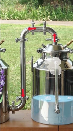How to Make Essential Oils #science #sustainability #essentialoils #diy #essentialoilrecipe