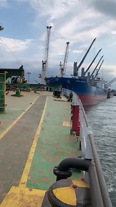 9.7K views · 302 reactions | Heads up, aspiring seafarers, take note...