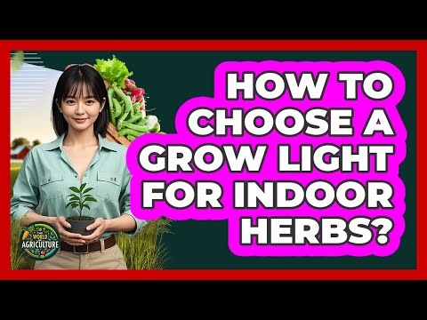 How To Choose A Grow Light For Indoor Herbs?