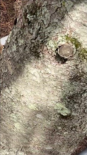 Simple Guide to Using a Generator Shed: Step-by-Step Tutorial