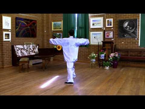 Tai Chi 24 Form (Back View with Instructions)