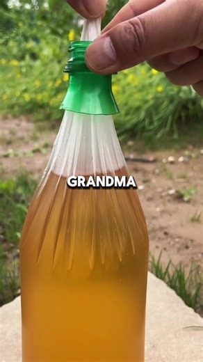 #text #texting #storytime #fpy #foyou | texting