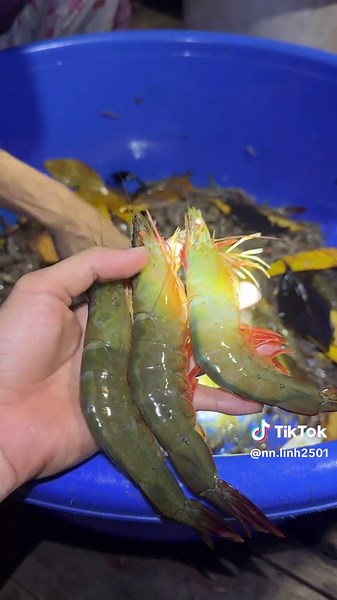 Review Món Tôm Khô Nhật Linh Nguyên Vỏ