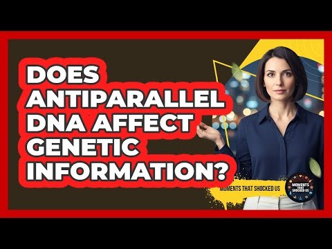 Does Antiparallel DNA Affect Genetic Information?