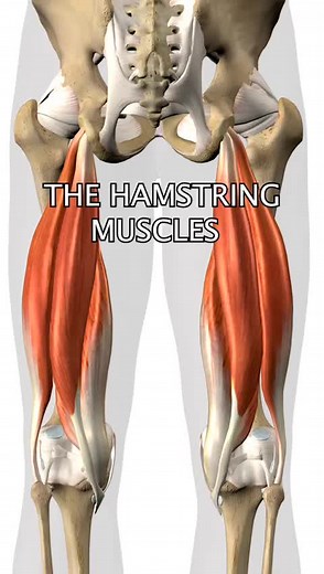 NAT Global Campus on TikTok