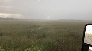 Seminole wind #everglades #martincountytrapping #snakenado | Python Cowboy Hunts