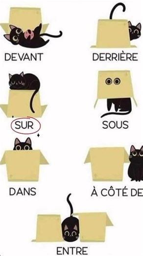 Unlock French in 30 Seconds! 🇫🇷✨ Learn the Most Useful Direction Words Fast