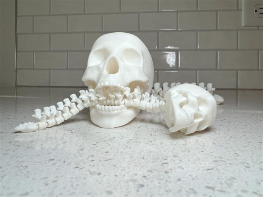 Human Skull With Articulated Spine - Gothic Halloween Decoration & Creepy Prop! - Etsy