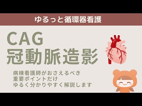 【CAG看護】重要ポイント4つ【心臓カテーテル】