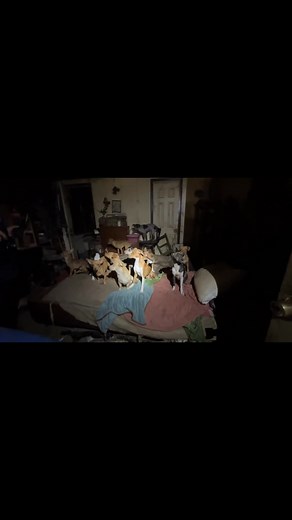 🎥 Operation Dark Passage 🎥 Please take a moment to watch behind the scenes on this rescue. On September 23, ARC’s Field Team deployed on Operation Dark Passage — two connected cases involving a mother and son living next door in separate trailers. One fell under county jurisdiction, the other under city. SWAT officers secured the scene so our team could safely extract every animal. 53 dogs and 1 cat were rescued and brought to ARC’s Rescue Center for medical, physical, and emotional care - and