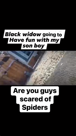 Matt Castillo on Reels | Facebook