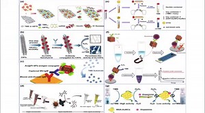 10. Gold Nanozymes: From Concept to Biomedical Applications https://link.springer.com/article/10.1007/s40820-020-00532-z | Nano-Micro Letters | Facebook