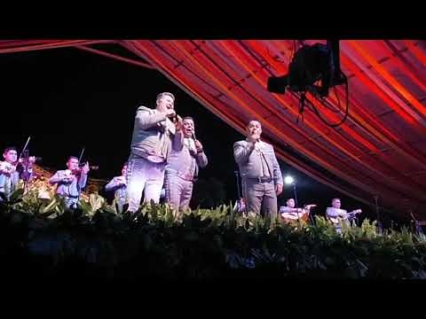 Mariachi Los Camperos- Guadalajara 2022