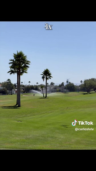 Poniendo a prueba el nuevo zoom 8× del iPhone 17 Pro 📸 Probé todos los niveles de zoom, del gran angular al 8×, y la diferencia se nota muchísimo. El detalle, la estabilidad y el color son impresionantes para ser un teléfono. ¿Crees que ya compite con una cámara profesional? 👀 #iphone17pro #iphonecamera #iphonephoto #iphonephotography #apple