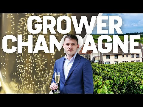 5 Champagne Producers To Know - Master of Wine Recommendations