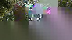 1.2K reactions · 57 shares | Birds are fast and unpredictable, making them challenging subjects for photographers. How do you get a sharp image of a bird in mid-air at the right moment? What is a catch light and how should you use Animal Detection AF? Learn the tips and tricks of bird photography from professional wildlife photographer William Tan with the EOS R6. Watch the full video on YouTube: https://www.youtube.com/watch?v=G6JCW_gPLw0 | Canon Imaging Asia | Facebook