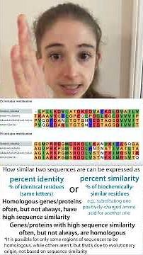 Don't confuse homology, percent identity, and similarity