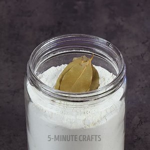 How to get rid of pantry pests: | Parentips