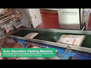Auto Secondary Packing Machine for bag in bag packaging