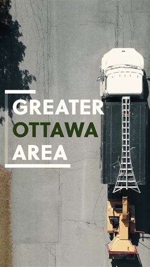 Quick Tree Removal - A tree trimming commercial. #treetrimmimg #treeremoval #aborist #lumberjack #commercials #marketing