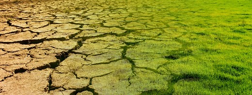 What is the impact of humans on the desert?