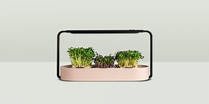 These Indoor Herb Gardens Will Help You Save Space and Time in the Kitchen