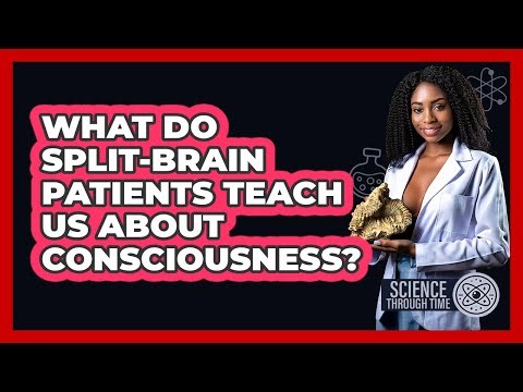 What Do Split-brain Patients Teach Us About Consciousness? - Science Through Time
