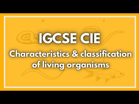 IGCSE Biology CIE | Characteristics & Classification of living organisms Explained| TMT
