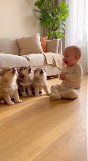 Baby Howls with the Wolf Pups! | Cutest Wild Moment Ever 🐺👶