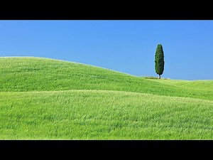 Watch how to sign 'bumpy' in American Sign Language.