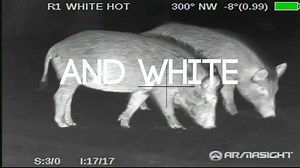 31K views · 134 reactions | The High Road + Armasight, Inc. = Lots of dead hogs! #thejoyofthehunt New episode coming soon on Pursuit Channel "We Deliver The Outdoors" Savage Arms | Optics Planet | Oilfield Camo | Keith Warren | Facebook