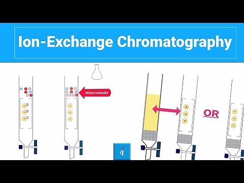 Ion Exchange Chromatography (with animation)