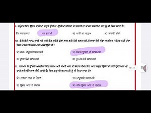 CEP CLASS 7 SST ASSIGNMENT -3 FULLY SOLVED