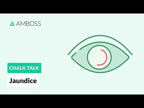 Jaundice: Differential Diagnosis