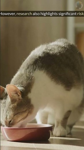 Is BARF Diet Good or Bad for Cats? Research-Based Insights! #cats #cathealth #petnutrition