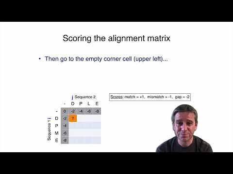 2.3 Dynamic programing, global alignment