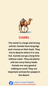 Learn English through Story || Camel 🐪 || English Story | Listen & Learn English
