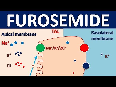 Furosemide - Mechanism, side effects, interactions and indications