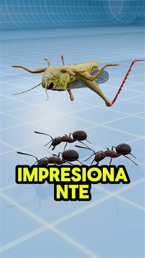 Nature's most amazing force 🐜💪