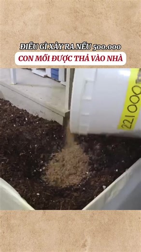 Khám Phá Kho Tàng Kiến Thức Vô Tận