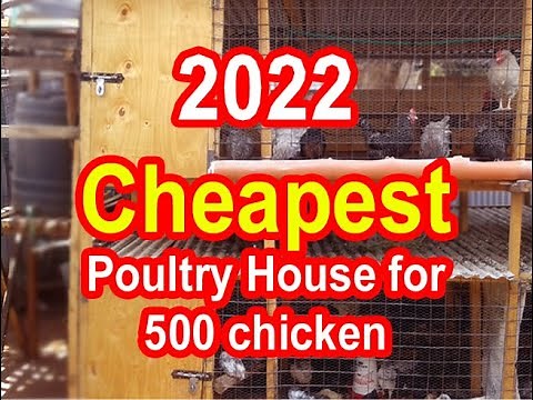 How to build a cheap chicken house for 500 chicken | Cheap Chicken Coop | Chicken house design