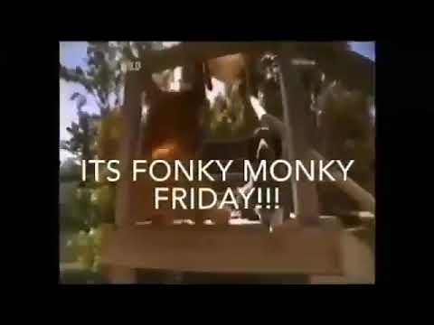 Funky Monkey Friday