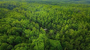 👋 Say hi to Google’s most helpful AI. Meet AI Mode, Gemini 2.5, Veo 3 and so much more. ✨ | Google