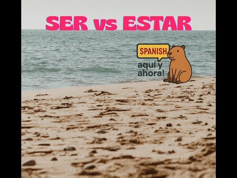 Ser vs Estar in Spanish: 5 clear examples!