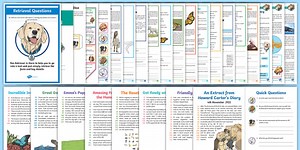 Year 4 Reading Skills Bumper Resource Pack