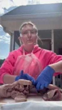 Fetal Pig Lab Practical