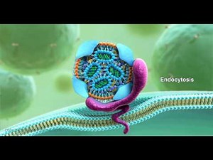 Precision NanoSystems | High Efficiency Cellular Transfection